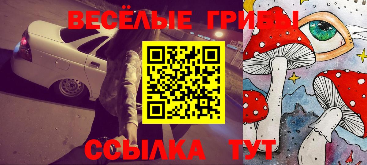 Псилоцибиновые грибы Psilocybine cubensis  купить закладку  Обнинск  Вход с VPN 